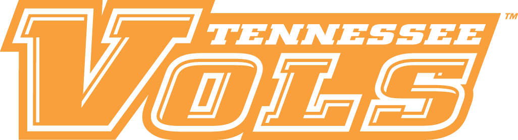 Tennessee Volunteers 2005-Pres Wordmark Logo v3 iron on transfers for fabric